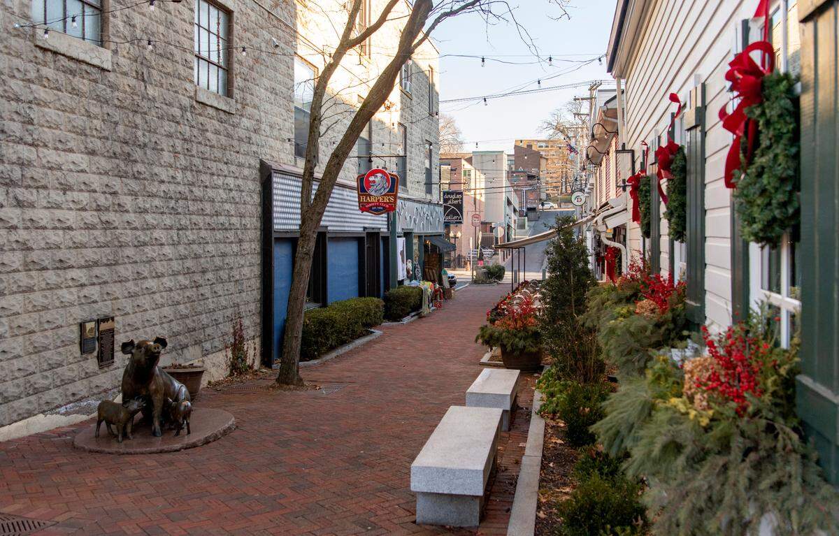 The walkway between Calder Way and College Avenue that runs past The Tavern will be be renamed Pat Daugherty Walkway.