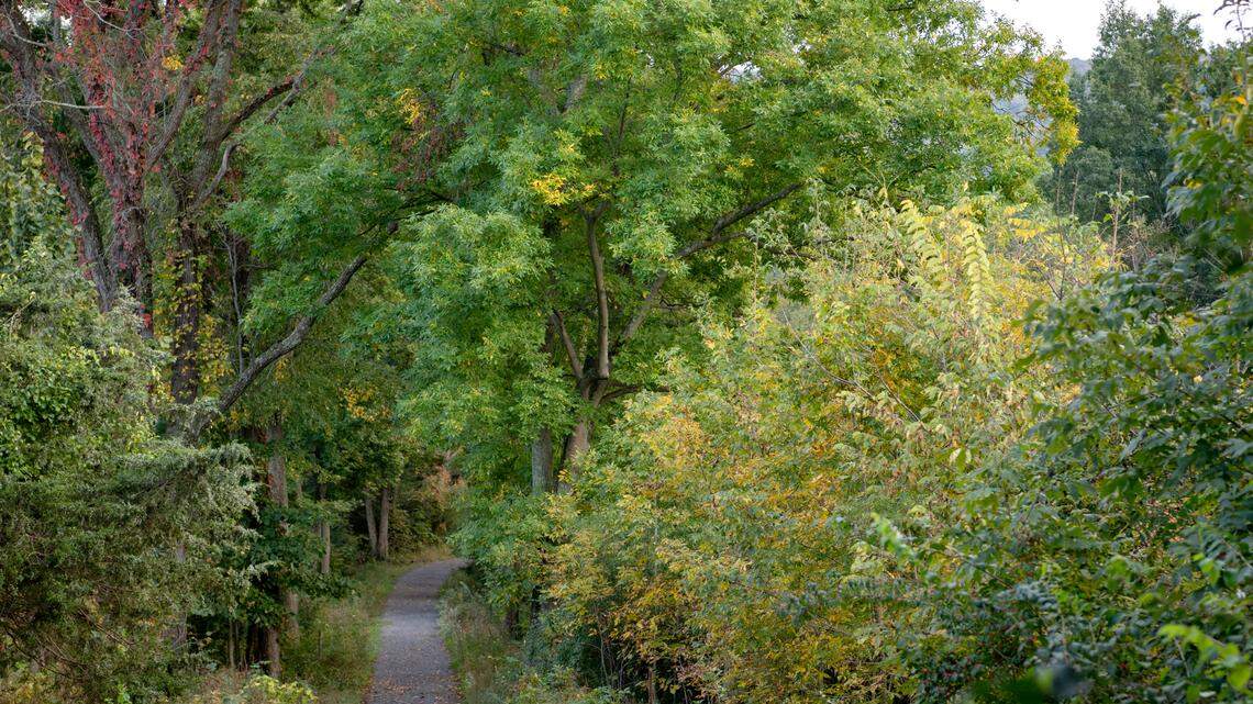Get your cameras ready: Fall foliage is creeping toward its peak in Centre County