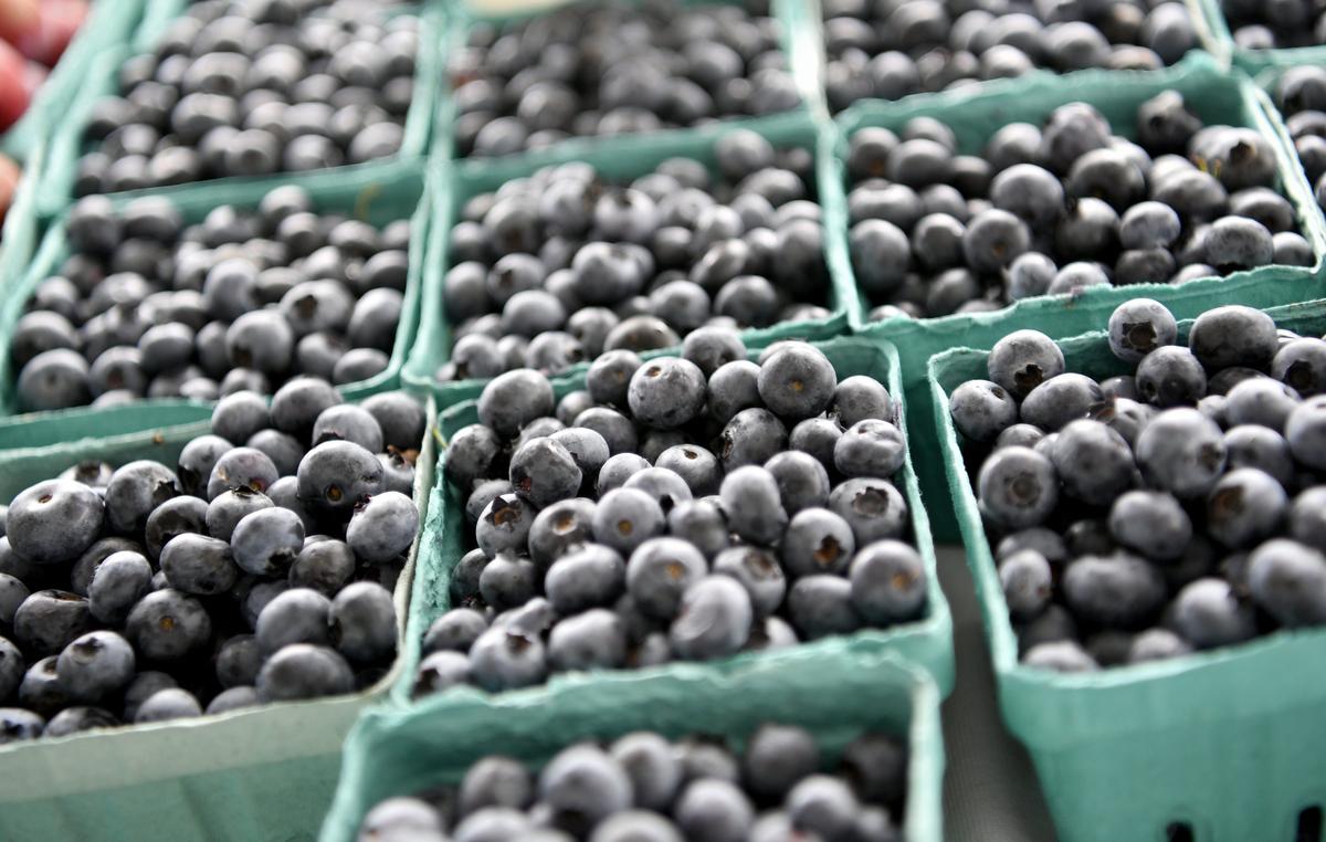 Fresh blueberries at the Hills Plaza farmers market on Tuesday, July 16, 2019.