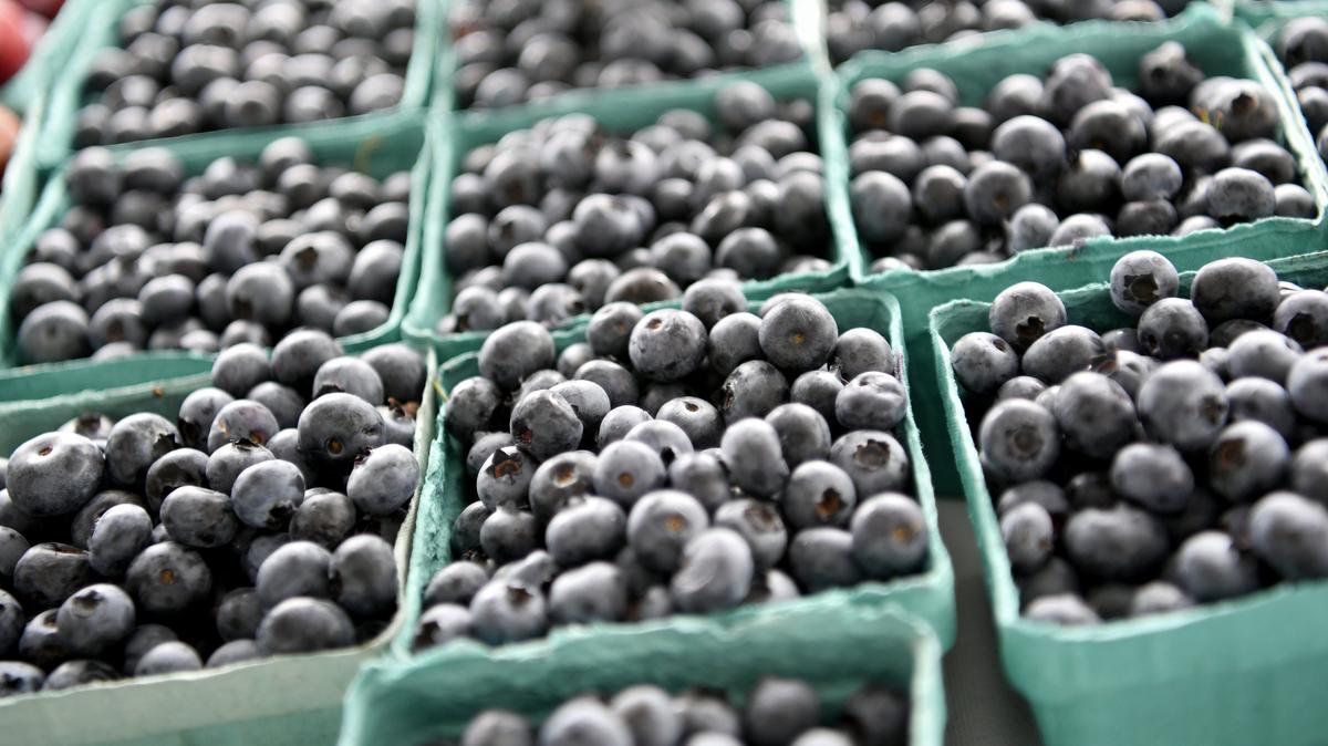 The State College Kiwanis Club has hosted a popular blueberry sale fundraiser for more than a decade.
