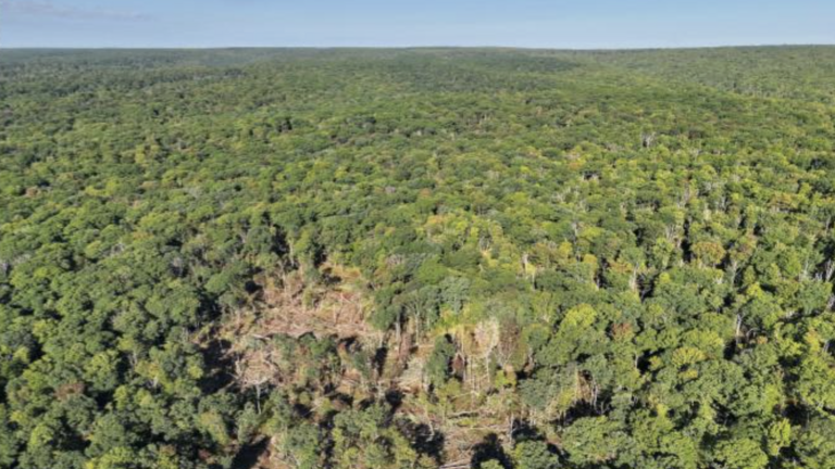 Months later, experts confirm another tornado in Centre County. Here’s why