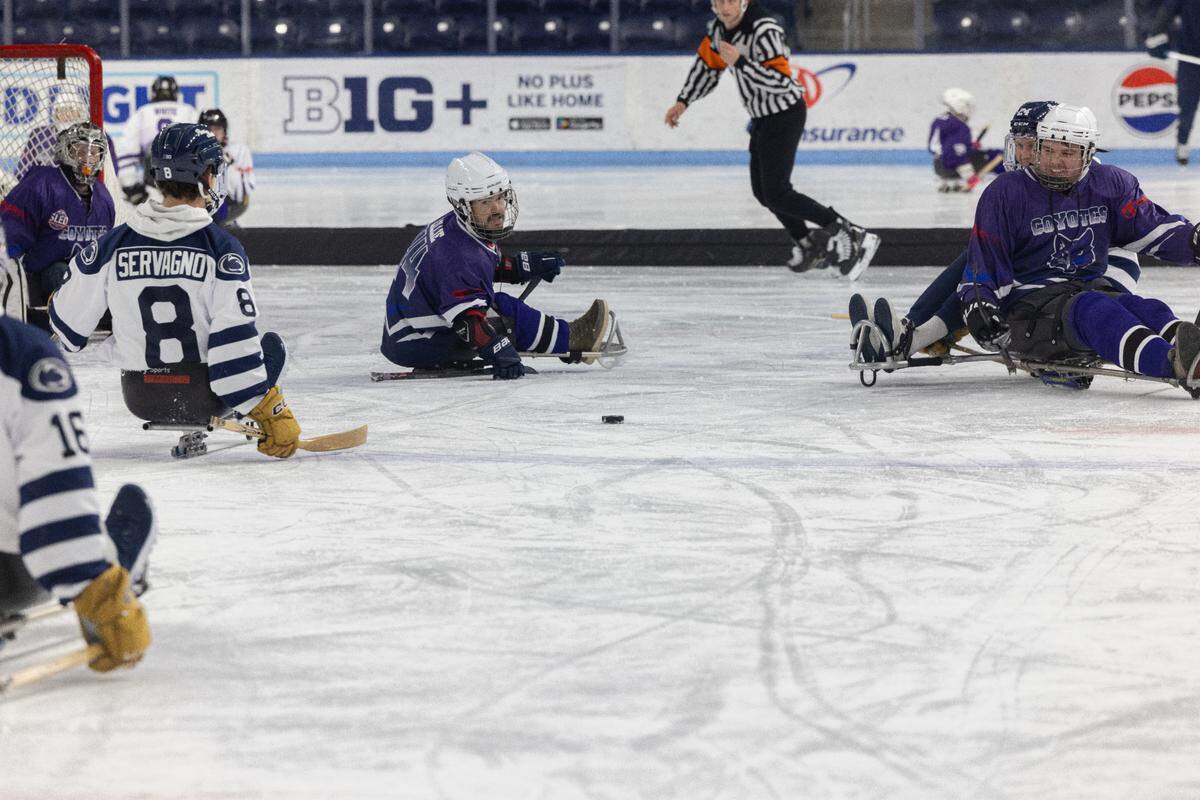 The State College Coyotes took on Penn State men’s hockey Sunday, Jan. 26, 2025, in the third annual Penn State Sled Hockey Classic.