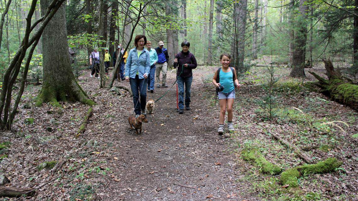 Explore some of Pennsylvania’s oldest trees at Alan Seeger Natural Area
