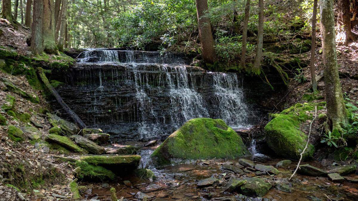 Did you know Centre County has a pair of waterfalls? Hike to them in this tiny township