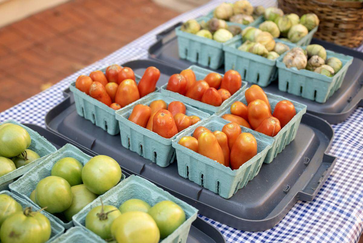 Customers could choose between green tomatoes, tomatoes or tomatillos as part of their CSA from the Student Farm at Penn State last week.  
