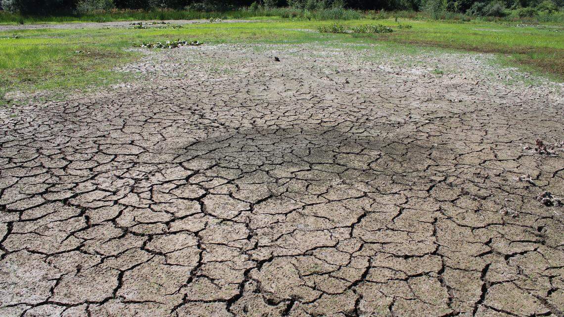 Afield: Climate change is affecting hunting and fishing — what can you do about it?