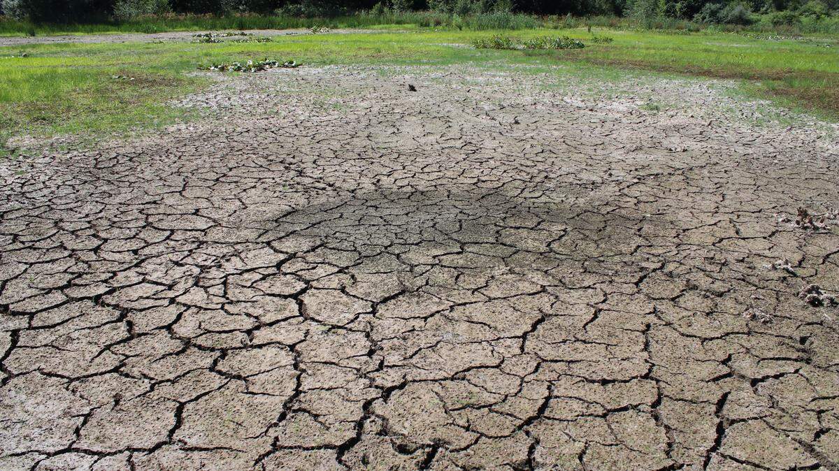 Dry wetland is pictured northeast of Port Matilda on July 20, 2020.