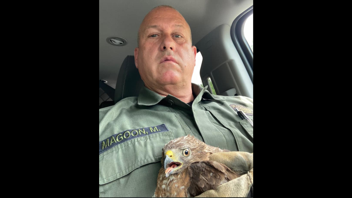 New Hampshire Trooper First Class Mark Magoon sat with injured hawk in his patrol car for more than 90 minutes Friday, waiting for a game warden to show up. His act of kindness is being praised on social media.