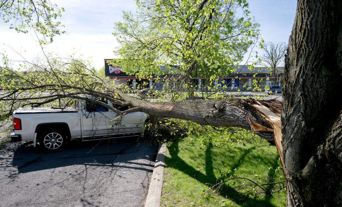 A truck with a tree on it in the parking lot Westerly Parkway Plaza on Wednesday, April 30, 2025 after a severe storm on Tuesday night. 