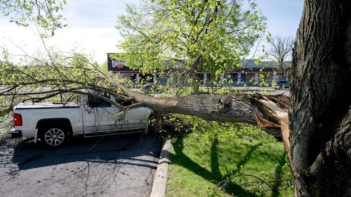 Derecho leaves widespread damage in Centre County. See photos of the aftermath