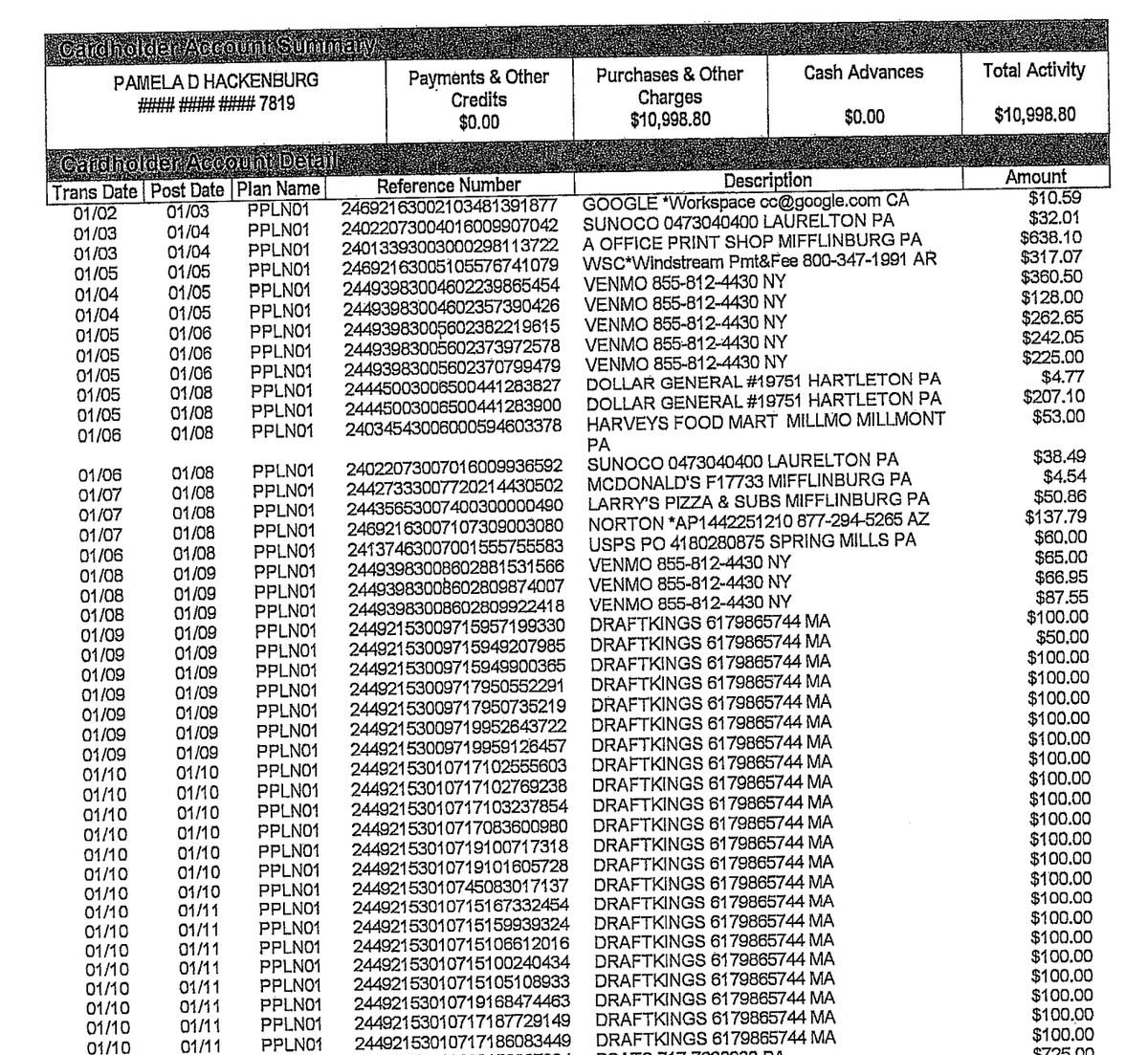 A section of a Gregg Township credit card statement from January 2023 obtained through a public records request.