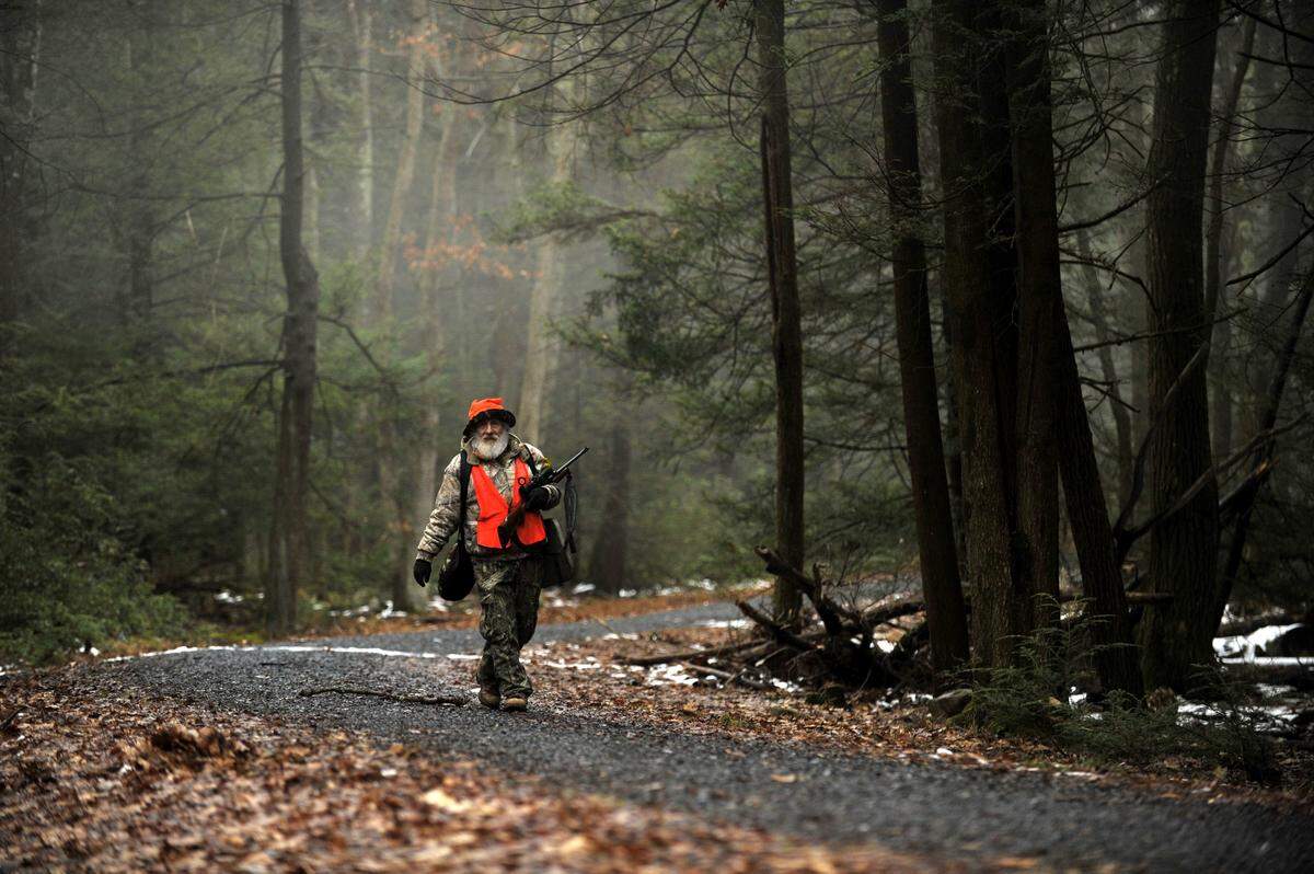 Joe Young, of Centre Hall, walks to his hunting spot in Rothrock State Forest on Dec. 1, 2014.