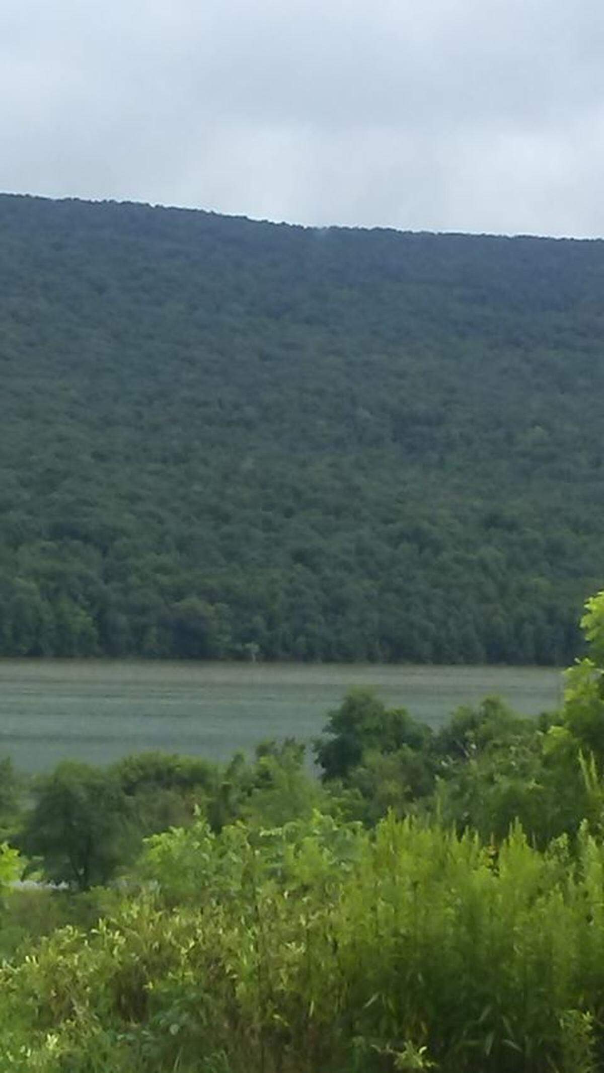 Jessica Thompson took this photo at Bald Eagle State Park.