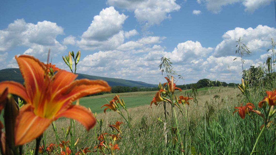 Get your daily dose of awe at Centre Hall’s Rhoneymeade Arboretum and Sculpture Garden