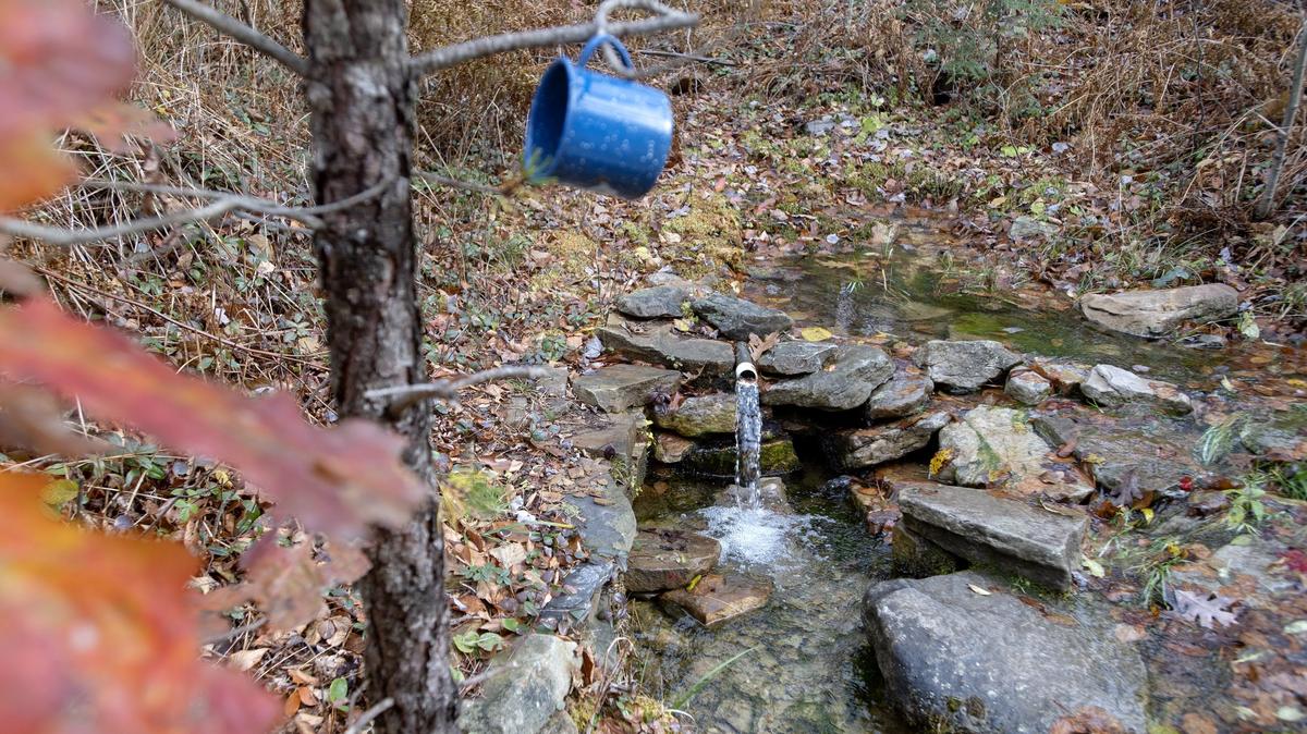 A drinking mug hangs from a tree branch near where water comes out of a pipe along Reservoir Road in Snow Shoe on Thursday, Nov. 1, 2018. Some Mountaintop residents get their water from springs like this one rather than drinking their tap water.