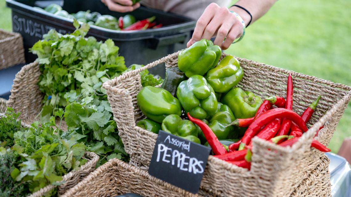 Centre County to distribute farmers market vouchers for seniors after delay