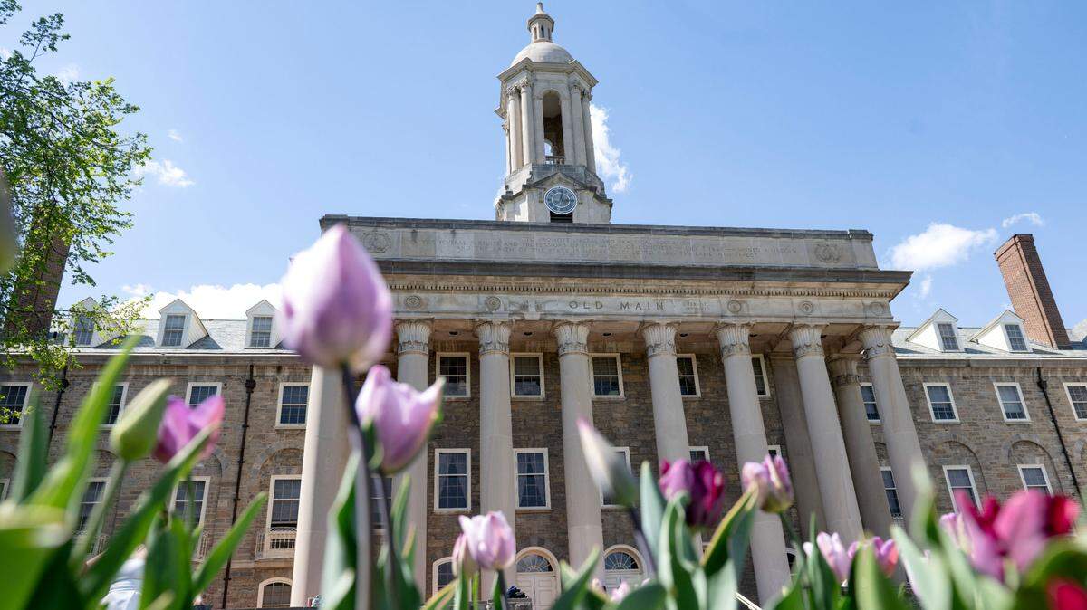 Tulips bloom outside of Penn State’s Old Main on Thursday, April 24, 2025. 