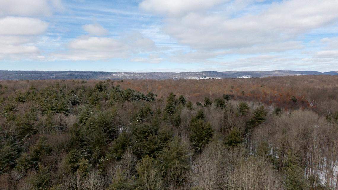 Looking for something new to do? More than 1,200 acres added to Rothrock State Forest