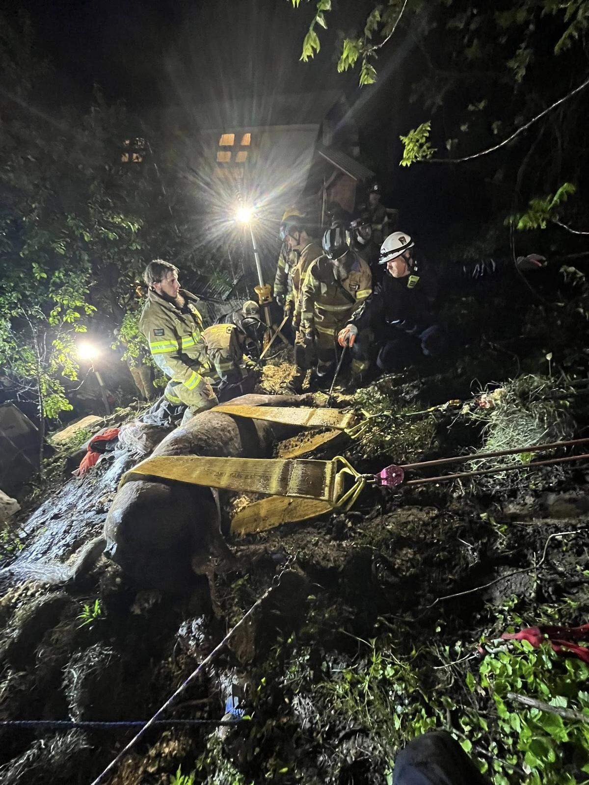 More than two dozen first responders rescued a horse Tuesday that was trapped for hours in mud and a fence near State College.