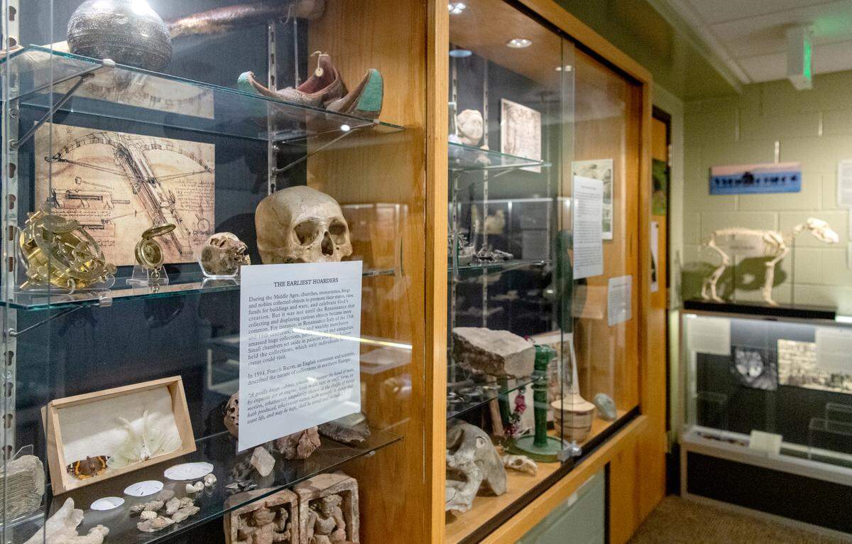 Displays in Penn State’s Matson Museum of Anthropology in the Carpenter Building on Tuesday.