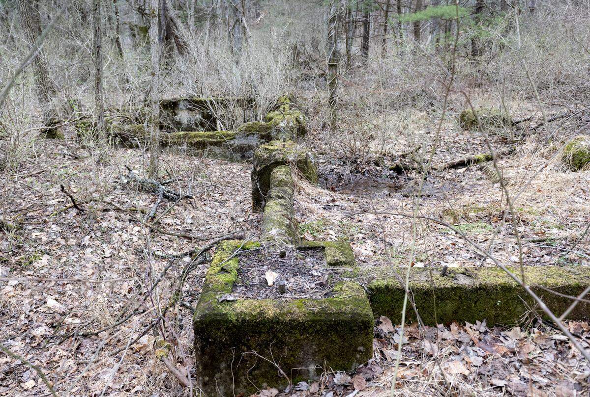 Moss and leaves cover building remains in Scotia on Friday, March 27, 2026. 