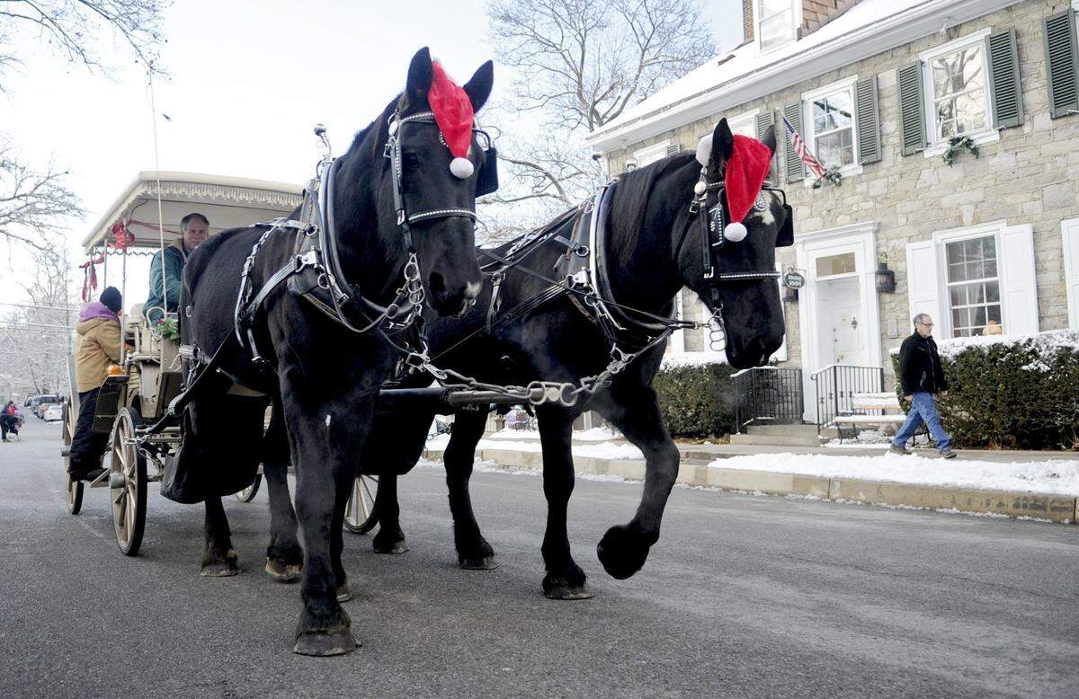 Percherons Herbie and Nathan lead a carriage of visitors through the streets of Boalsburg during Boalsburg Hometown Christmas on Dec. 7, 2013.