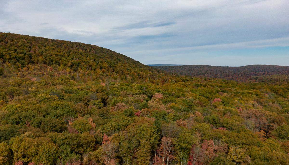 The leaves in Rothrock State Forest start to change and leave a colorful view for hikers on Monday, Oct. 25, 2021.