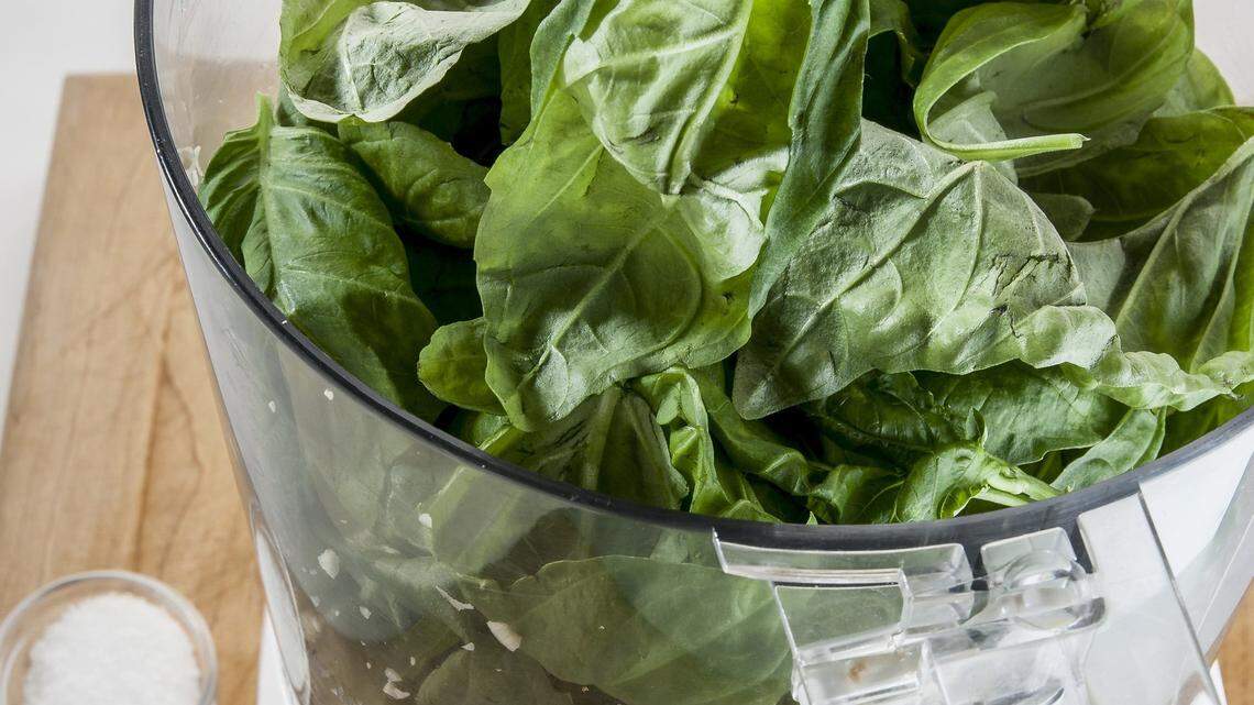 Add herbs to your garden and your menu this spring and summer