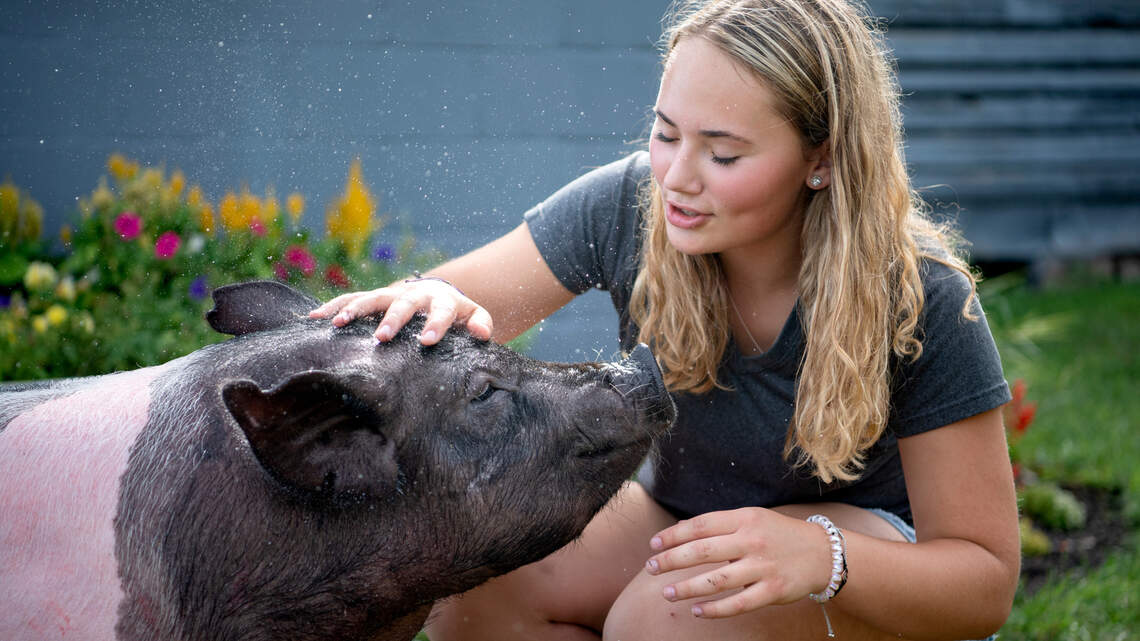A year without the Centre County Grange Fair holds some silver linings for 4-H students