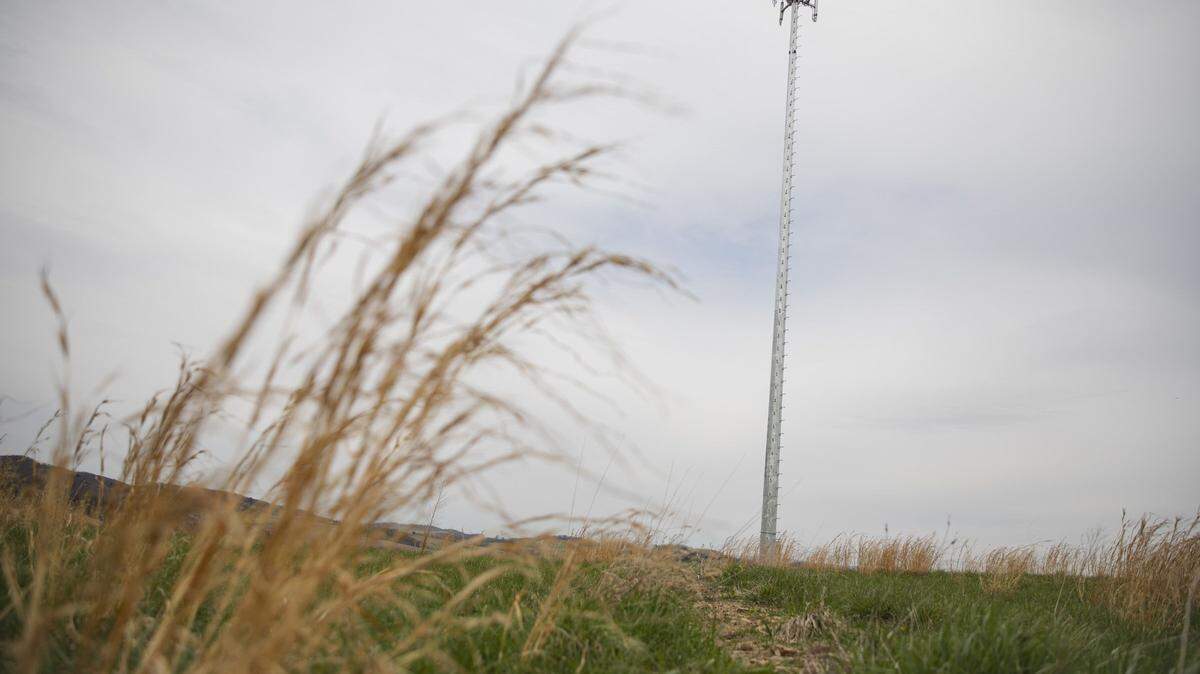 Cell tower in rural Pennsylvania.