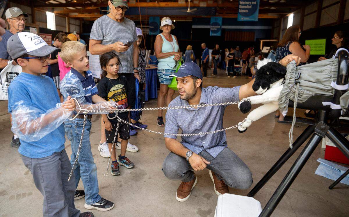 Penn State masters student Pedram Zarei teaches a group of youngsters about calving assistance at the Penn State Ag Progress Days on Wednesday, Aug. 9, 2023.