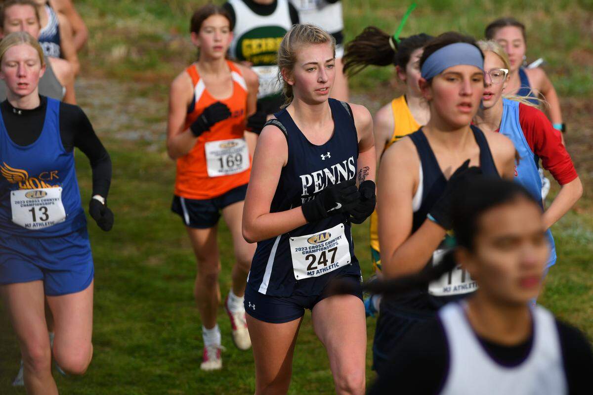 Penns Valley’s Lillyanna Smith competes in the PIAA cross country championships on Saturday, Nov. 4, 2023.