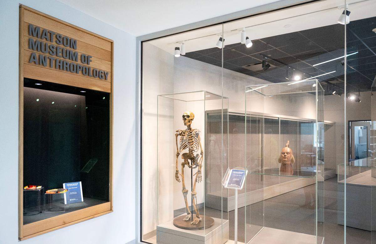 The Matson Museum of Anthropology in the new Susan Welch Liberal Arts Building on the Penn State campus on Wednesday, Feb. 19, 2025.