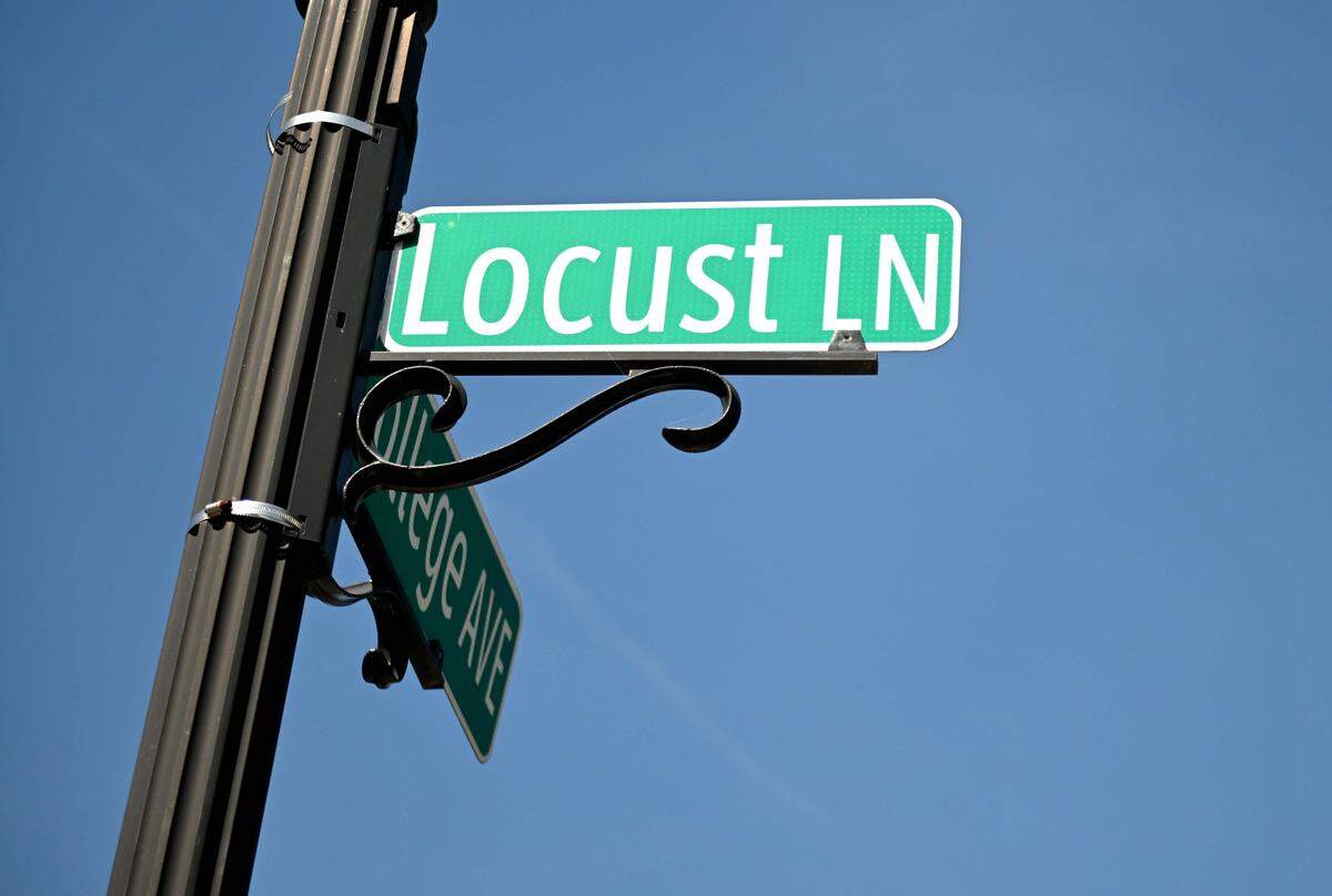 Locust Lane between College Avenue and Beaver Avenue on Thursday, June 4, 2026. 
