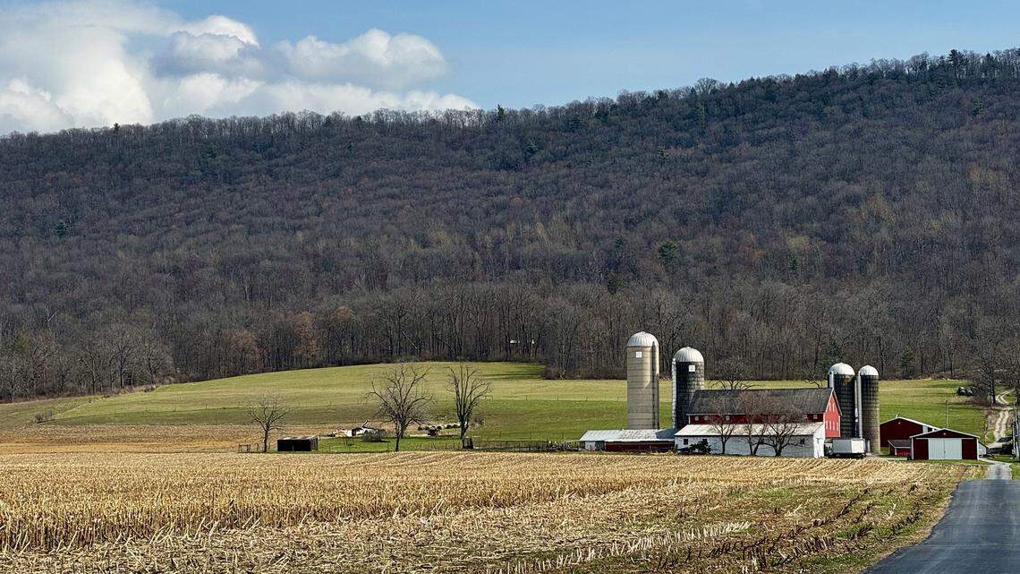 ‘Up in the air.’ Iran war price hikes stretch Centre County farmers thin