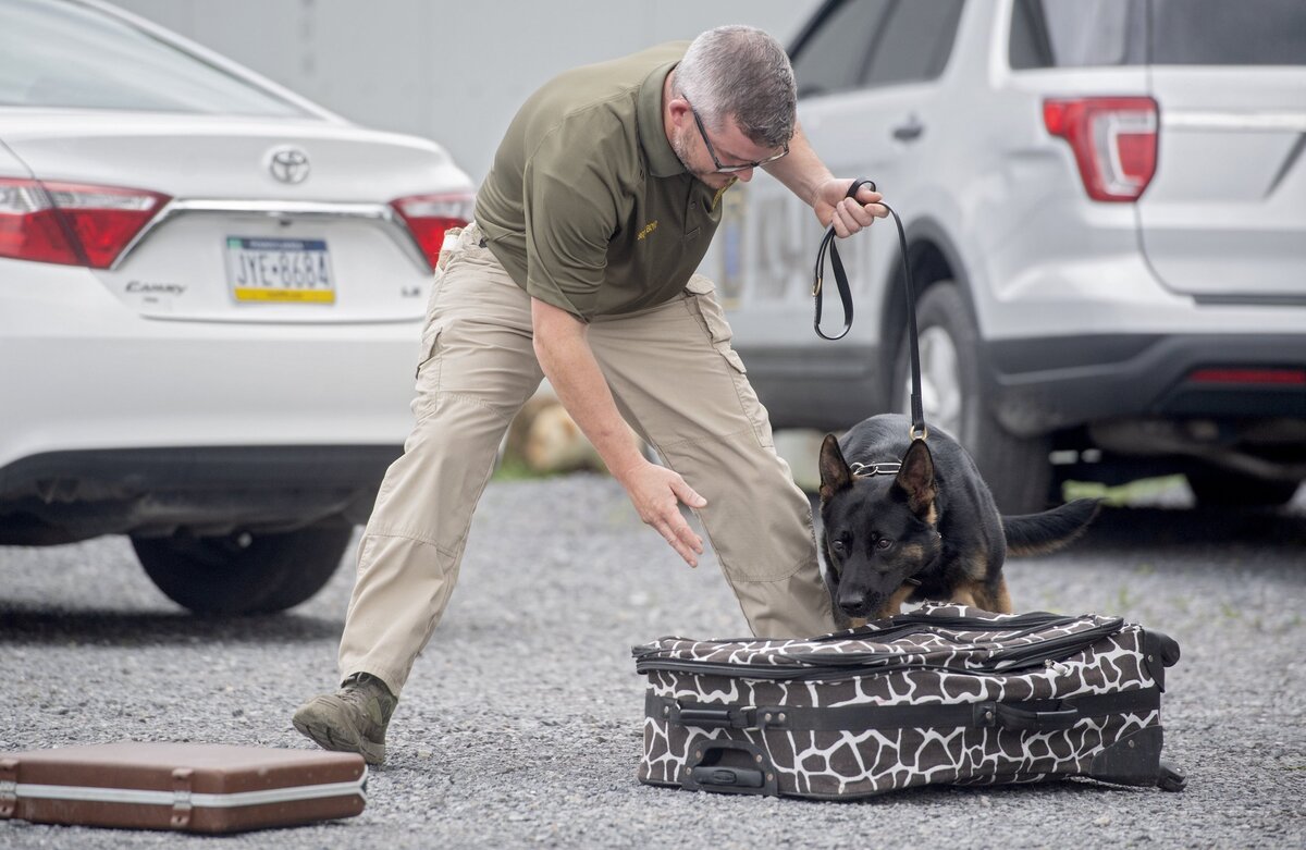Sgt. Jeffrey Boyd and his K-9 partner Ozzy demonstrate a luggage sweep for drugs on Thursday.