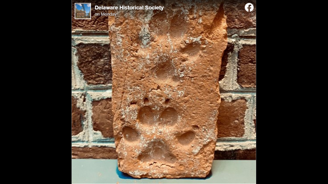 This 220-year-old brick has two paw prints in it. The Delaware Historical Society has a theory as to how it happened.