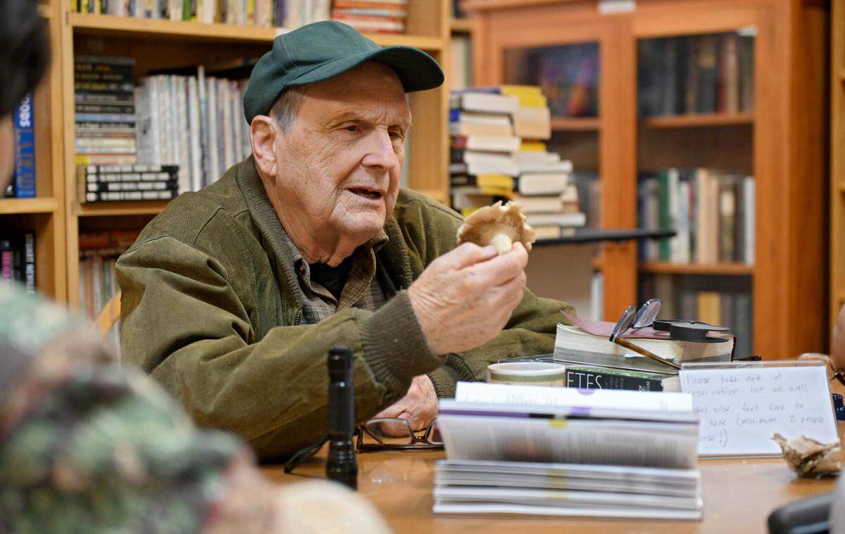 Bill Russell looks at a mushroom during a gathering at Webster’s Bookstore Cafe on Monday, Sept. 9, 2024.  