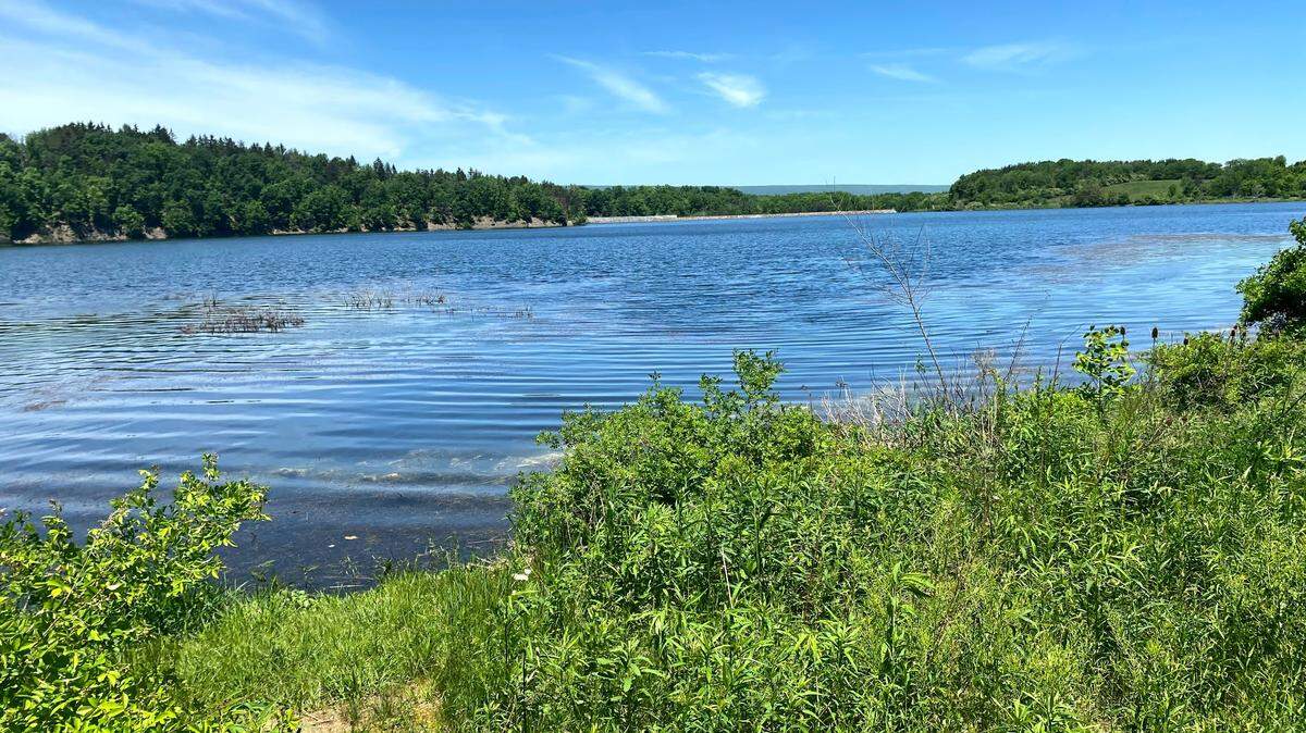 This week’s Centred Outdoors weekly adventure will be held at Colyer Lake.