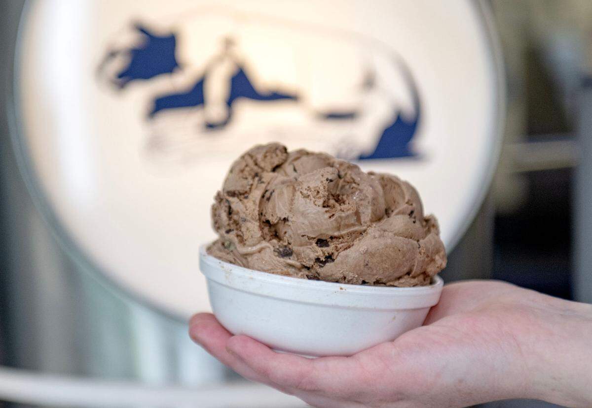 A dish of Death By Chocolate ice cream at the Penn State Berkey Creamery on Thursday, May 16, 2024.