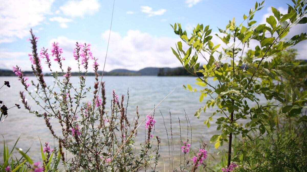 Hikers will continue to explore the natural wonders of Centre County with Centred Outdoors at Bald Eagle State Park.