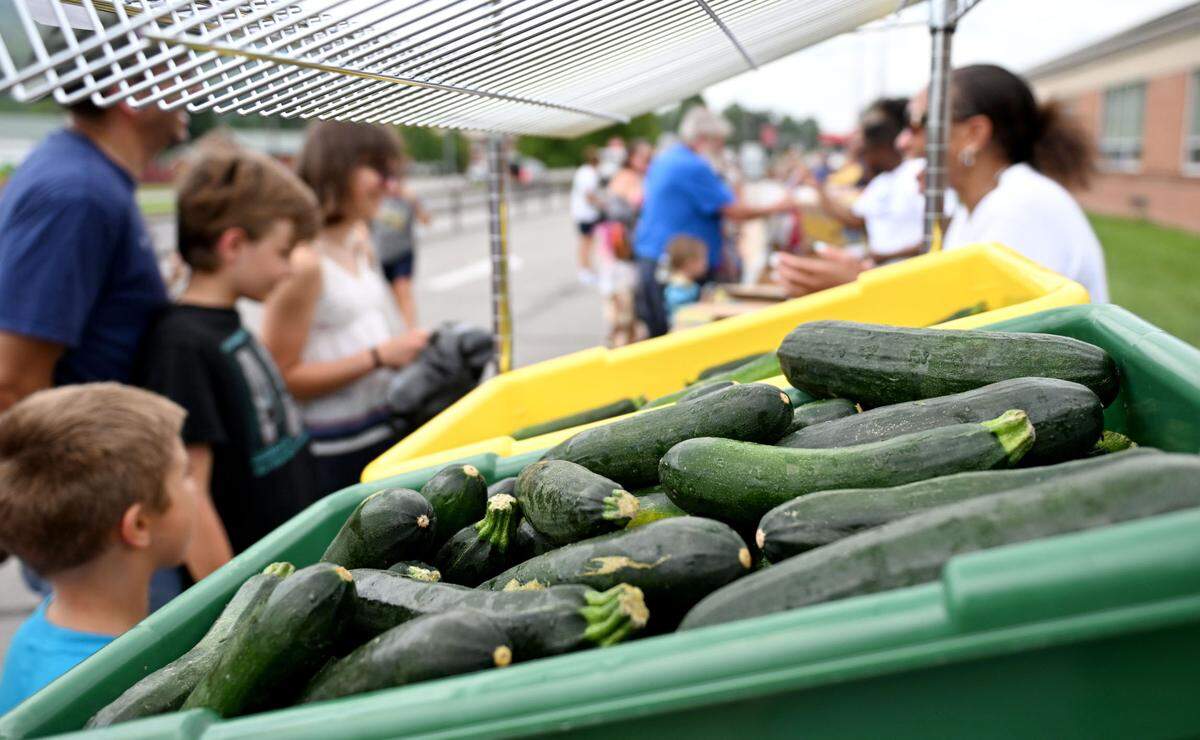 Children were able to choose what produce to get as part of the Summer Meals Distribution outside of Wingate Elementary School on Monday, Aug. 5, 2024.
