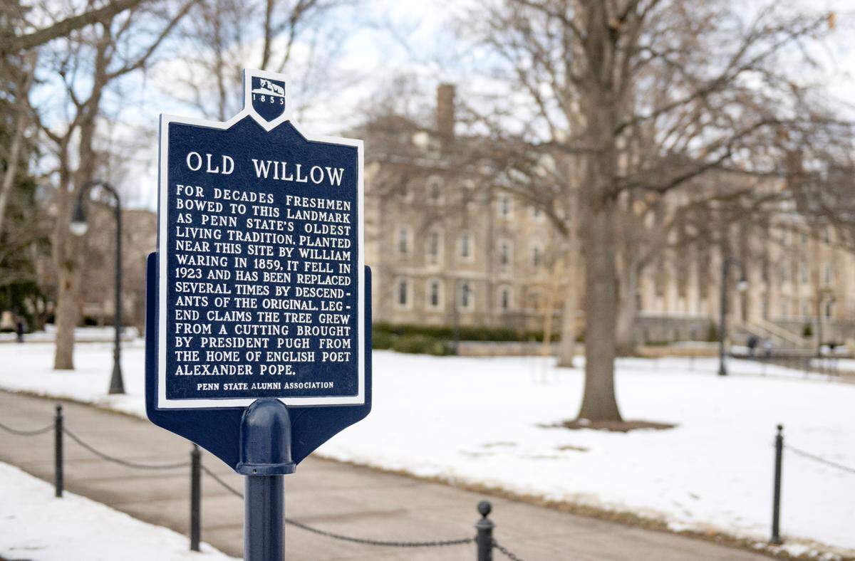The Penn State Alumni Association historical marker for Old Willow, a tree that was originally planted in 1850, near Old Main on Friday, Jan. 17, 2025.
