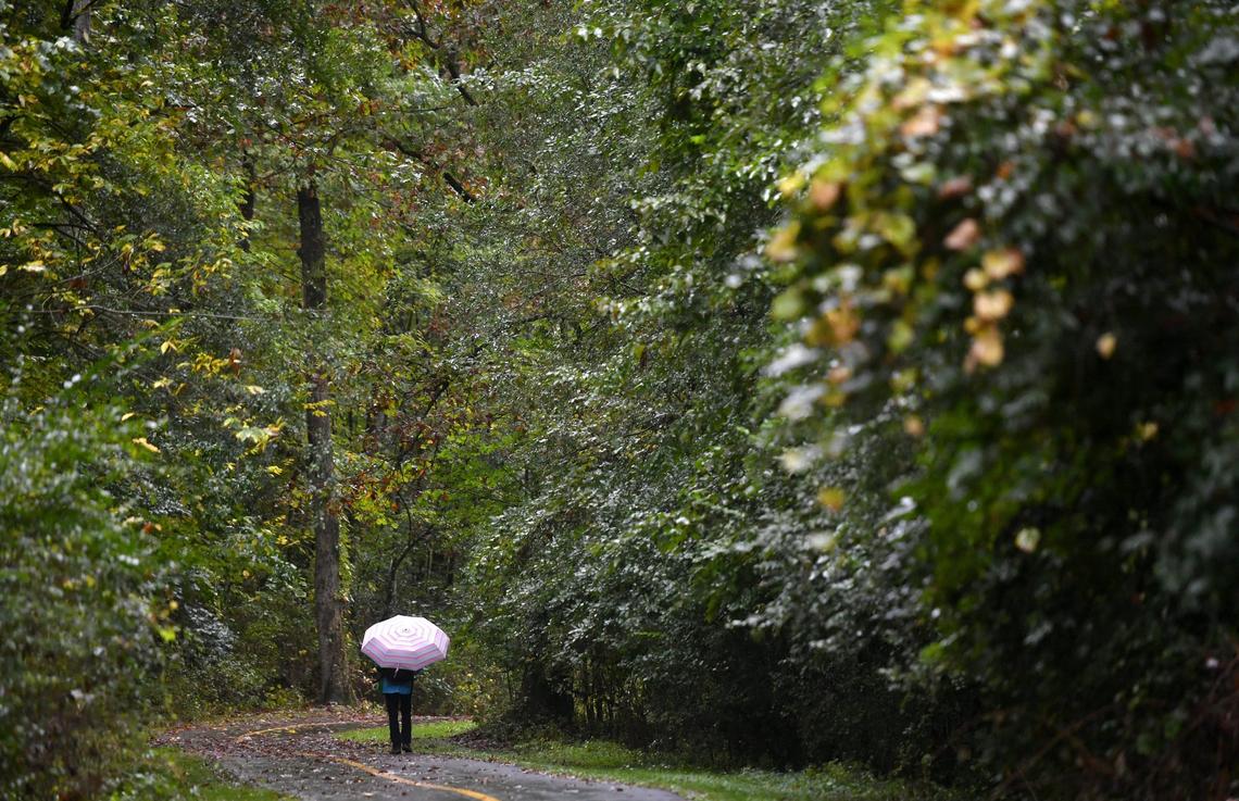 A woman walks along the Arboretum at Penn State trail in the rain on Monday.