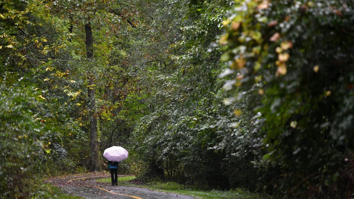 A woman walks along the arboretum trail in the rain on Monday, Oct. 7, 2019.