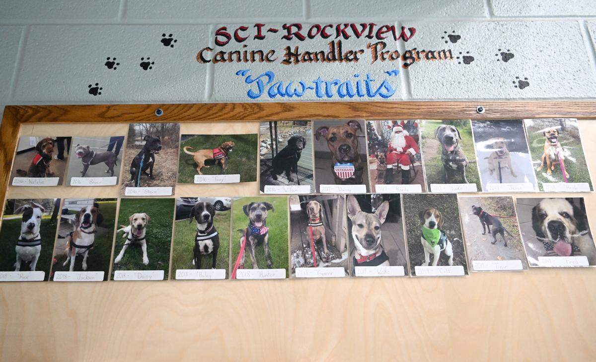 A wall of photos of the dogs that have been trained by inmates at SCI Rockview on Tuesday, Feb. 28, 2023.