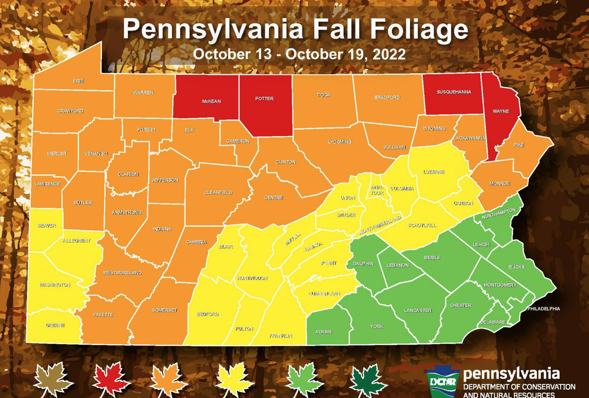 This county map from the Pennsylvania Department of Conservation and Natural Resources show the most recent fall foliage update for the state through Oct. 19.