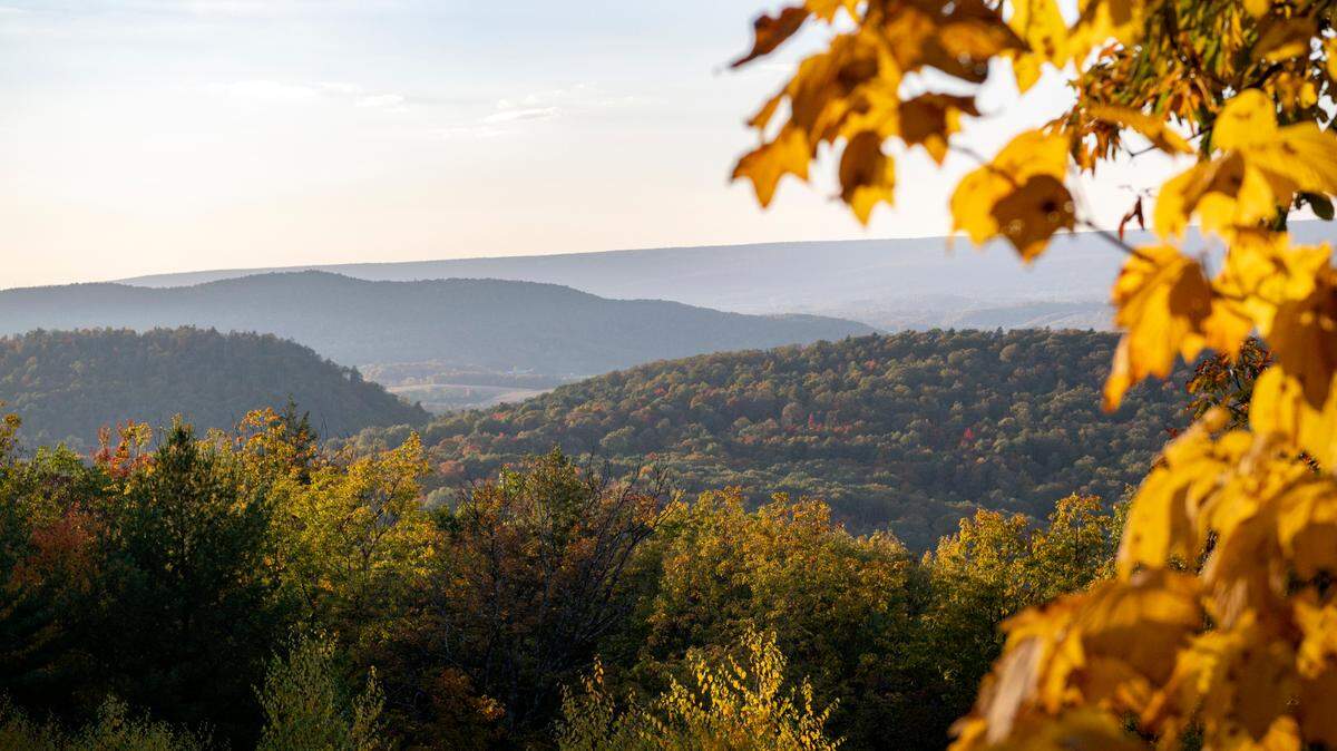 Fall foliage in Bald Eagle State Forest is pictured in this 2022 file photo.