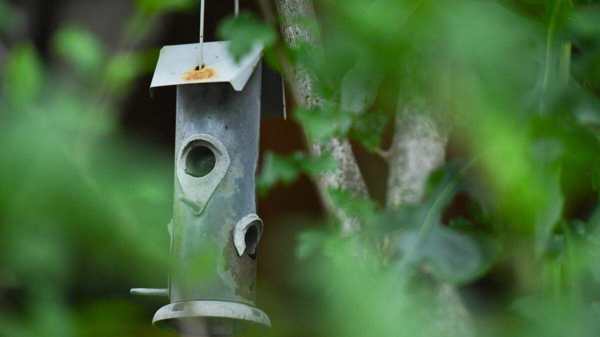 A bird feeder hangs in the Central Northside neighborhood on July 7, 2021. The Audubon Society of Western Pennsylvania and the Pennsylvania Gaming Commission recommend removing bird feeders until the cause of dying birds in neighboring states has been determined. (Jack Myer/Pittsburgh Post-Gazette)