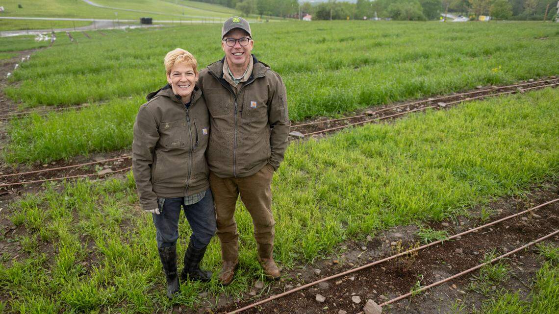 Retired couple has big plans for Philipsburg area blueberry farm. Here’s a look